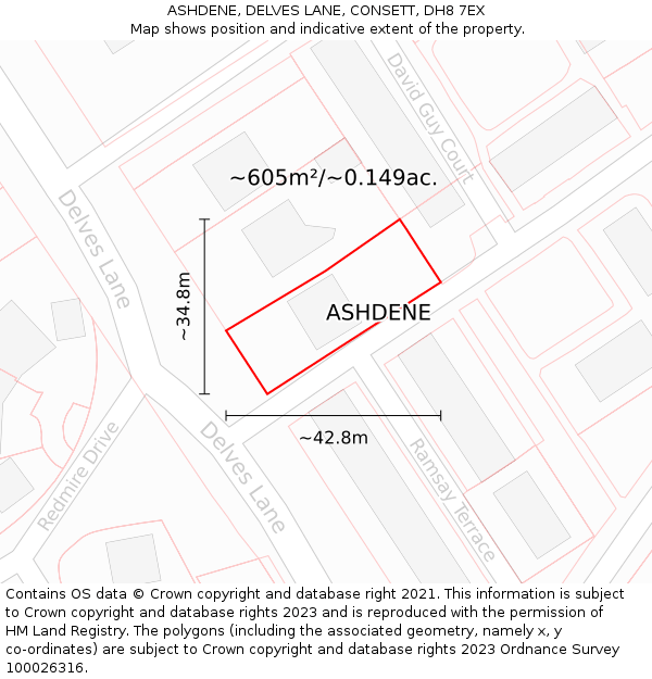 ASHDENE, DELVES LANE, CONSETT, DH8 7EX: Plot and title map