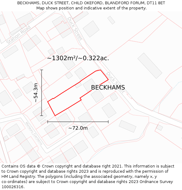 BECKHAMS, DUCK STREET, CHILD OKEFORD, BLANDFORD FORUM, DT11 8ET: Plot and title map