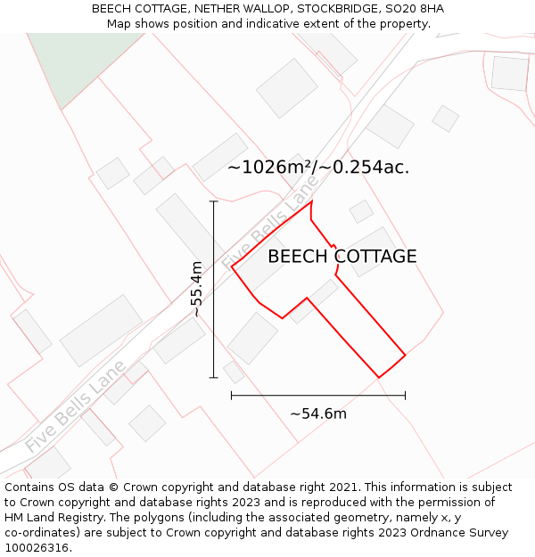 BEECH COTTAGE, NETHER WALLOP, STOCKBRIDGE, SO20 8HA: Plot and title map