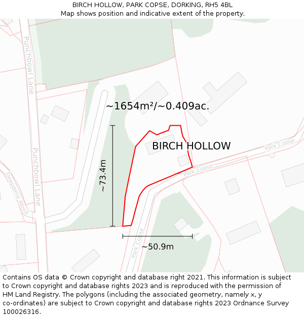 BIRCH HOLLOW, PARK COPSE, DORKING, RH5 4BL: Plot and title map