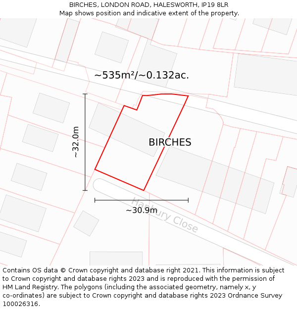 BIRCHES, LONDON ROAD, HALESWORTH, IP19 8LR: Plot and title map