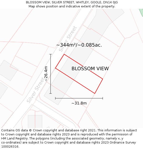 BLOSSOM VIEW, SILVER STREET, WHITLEY, GOOLE, DN14 0JG: Plot and title map