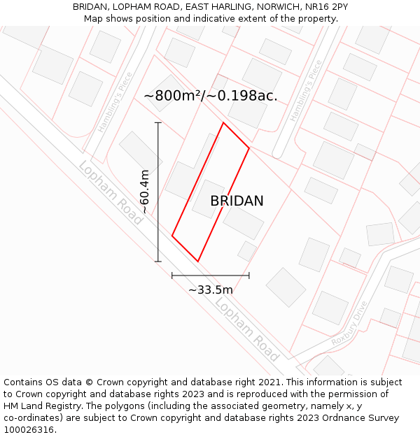 BRIDAN, LOPHAM ROAD, EAST HARLING, NORWICH, NR16 2PY: Plot and title map