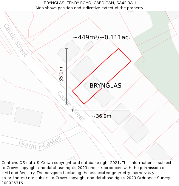 BRYNGLAS, TENBY ROAD, CARDIGAN, SA43 3AH: Plot and title map