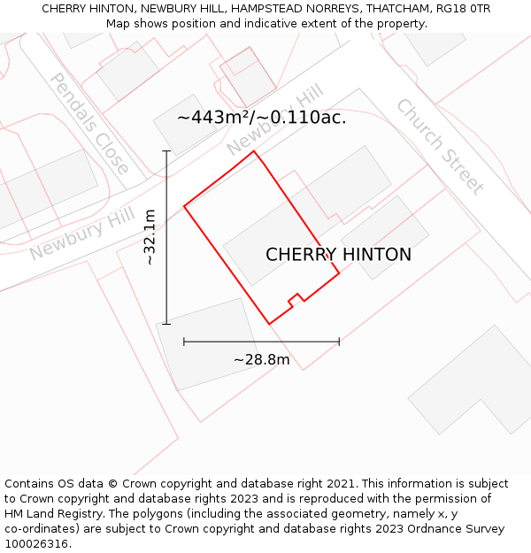 CHERRY HINTON, NEWBURY HILL, HAMPSTEAD NORREYS, THATCHAM, RG18 0TR: Plot and title map