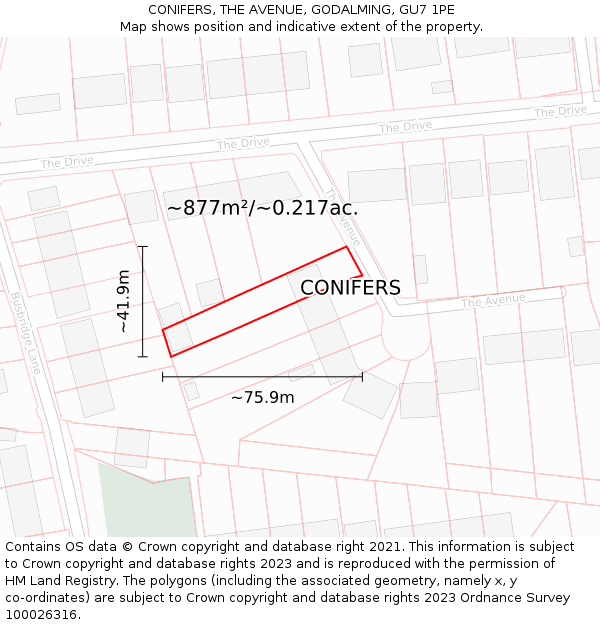 CONIFERS, THE AVENUE, GODALMING, GU7 1PE: Plot and title map