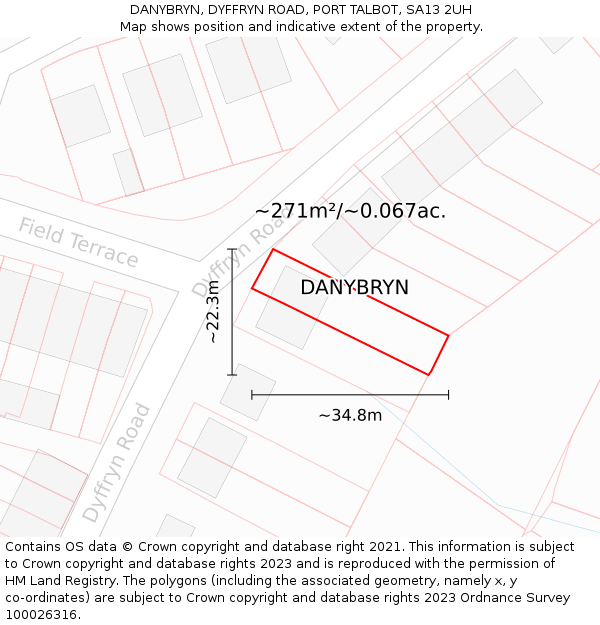 DANYBRYN, DYFFRYN ROAD, PORT TALBOT, SA13 2UH: Plot and title map