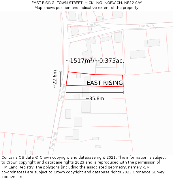 EAST RISING, TOWN STREET, HICKLING, NORWICH, NR12 0AY: Plot and title map