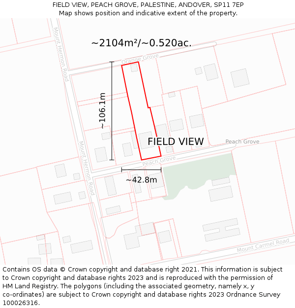 FIELD VIEW, PEACH GROVE, PALESTINE, ANDOVER, SP11 7EP: Plot and title map