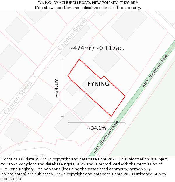 FYNING, DYMCHURCH ROAD, NEW ROMNEY, TN28 8BA: Plot and title map