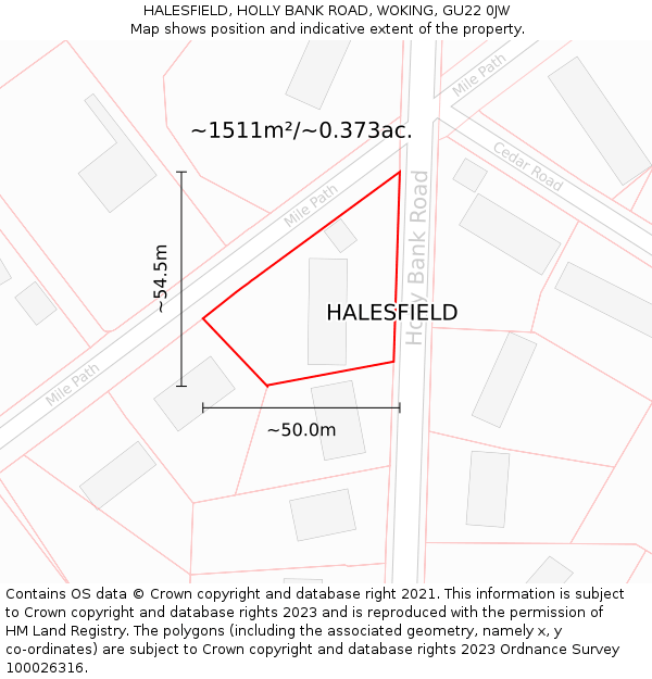 HALESFIELD, HOLLY BANK ROAD, WOKING, GU22 0JW: Plot and title map