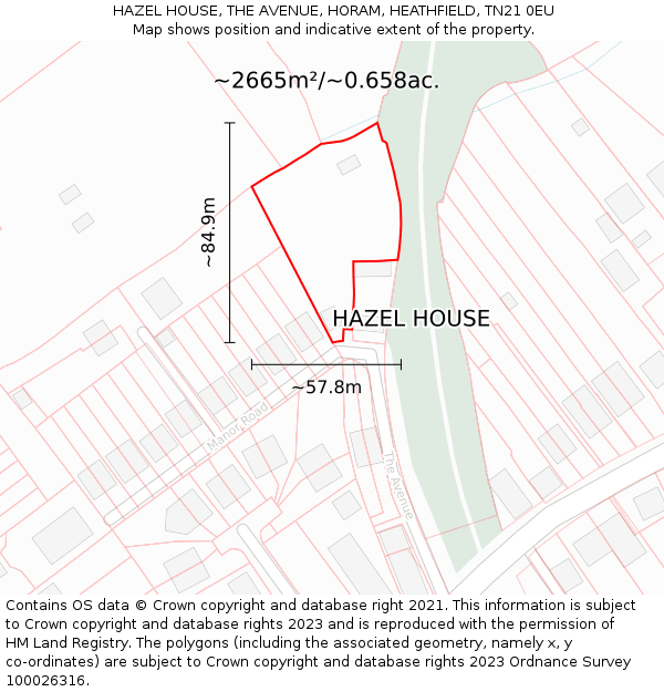 HAZEL HOUSE, THE AVENUE, HORAM, HEATHFIELD, TN21 0EU: Plot and title map