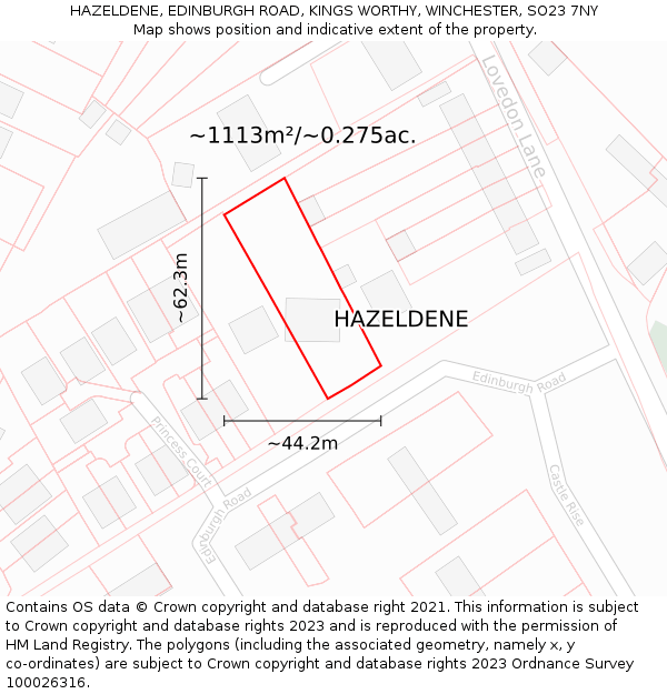 HAZELDENE, EDINBURGH ROAD, KINGS WORTHY, WINCHESTER, SO23 7NY: Plot and title map