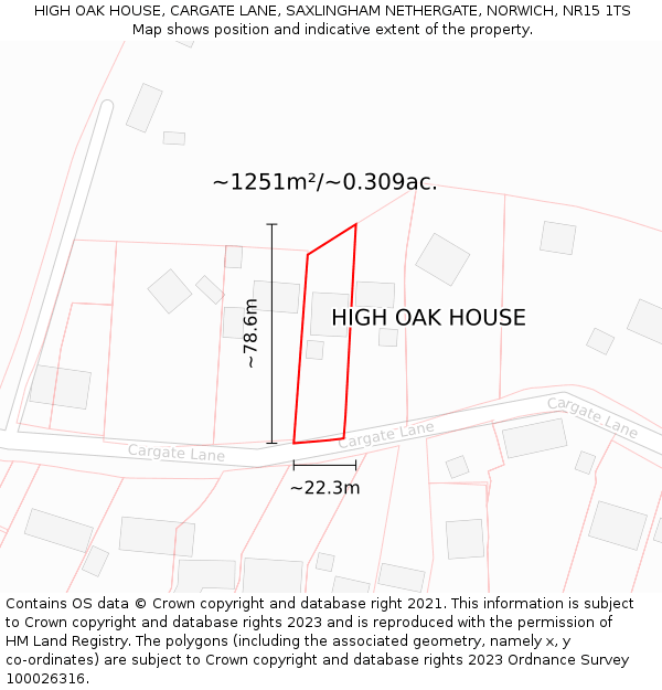 HIGH OAK HOUSE, CARGATE LANE, SAXLINGHAM NETHERGATE, NORWICH, NR15 1TS: Plot and title map