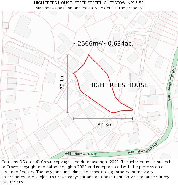 HIGH TREES HOUSE, STEEP STREET, CHEPSTOW, NP16 5PJ: Plot and title map