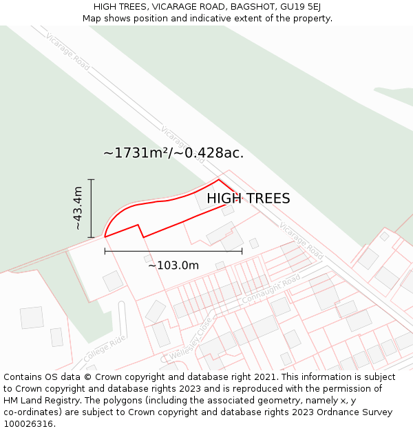 HIGH TREES, VICARAGE ROAD, BAGSHOT, GU19 5EJ: Plot and title map