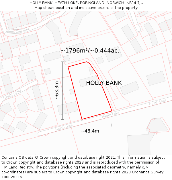 HOLLY BANK, HEATH LOKE, PORINGLAND, NORWICH, NR14 7JU: Plot and title map