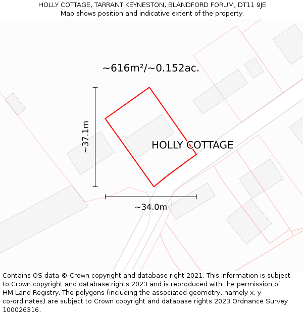 HOLLY COTTAGE, TARRANT KEYNESTON, BLANDFORD FORUM, DT11 9JE: Plot and title map