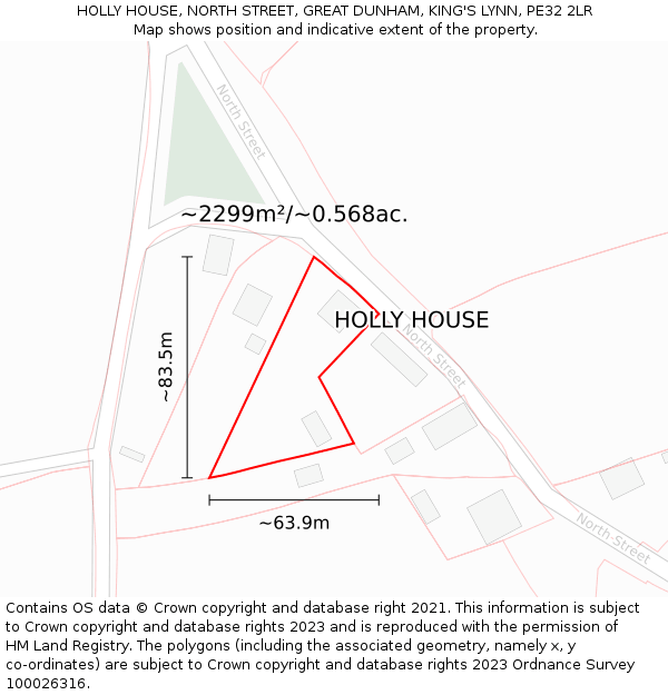 HOLLY HOUSE, NORTH STREET, GREAT DUNHAM, KING'S LYNN, PE32 2LR: Plot and title map