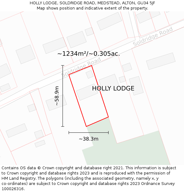 HOLLY LODGE, SOLDRIDGE ROAD, MEDSTEAD, ALTON, GU34 5JF: Plot and title map