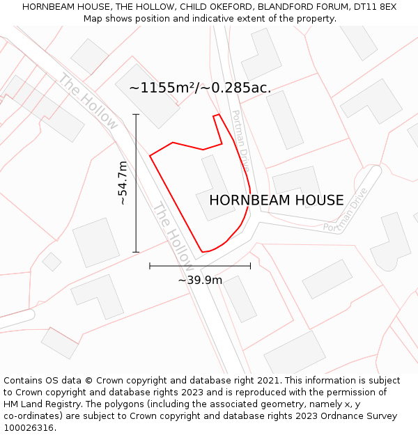 HORNBEAM HOUSE, THE HOLLOW, CHILD OKEFORD, BLANDFORD FORUM, DT11 8EX: Plot and title map