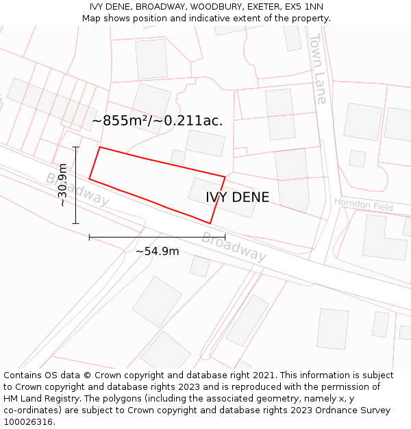 IVY DENE, BROADWAY, WOODBURY, EXETER, EX5 1NN: Plot and title map