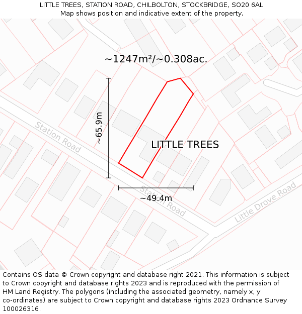 LITTLE TREES, STATION ROAD, CHILBOLTON, STOCKBRIDGE, SO20 6AL: Plot and title map