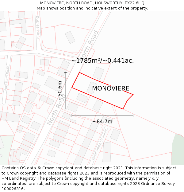 MONOVIERE, NORTH ROAD, HOLSWORTHY, EX22 6HQ: Plot and title map