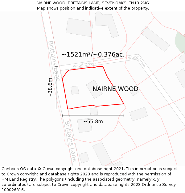 NAIRNE WOOD, BRITTAINS LANE, SEVENOAKS, TN13 2NG: Plot and title map