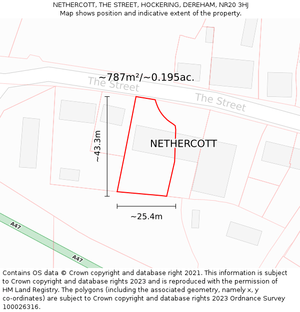 NETHERCOTT, THE STREET, HOCKERING, DEREHAM, NR20 3HJ: Plot and title map
