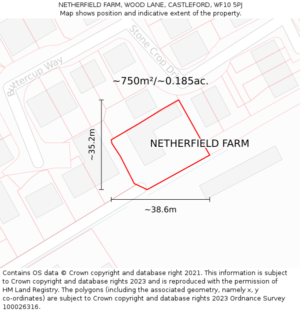 NETHERFIELD FARM, WOOD LANE, CASTLEFORD, WF10 5PJ: Plot and title map