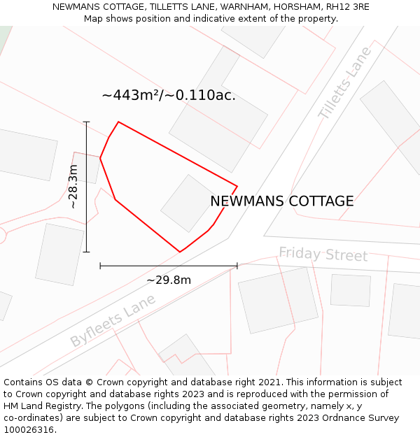 NEWMANS COTTAGE, TILLETTS LANE, WARNHAM, HORSHAM, RH12 3RE: Plot and title map