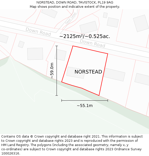 NORSTEAD, DOWN ROAD, TAVISTOCK, PL19 9AG: Plot and title map