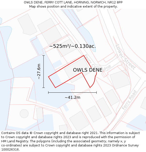 OWLS DENE, FERRY COTT LANE, HORNING, NORWICH, NR12 8PP: Plot and title map