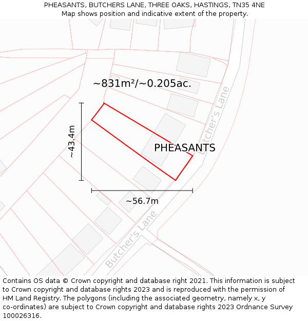 PHEASANTS, BUTCHERS LANE, THREE OAKS, HASTINGS, TN35 4NE: Plot and title map