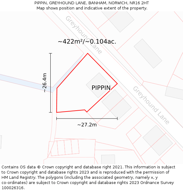 PIPPIN, GREYHOUND LANE, BANHAM, NORWICH, NR16 2HT: Plot and title map