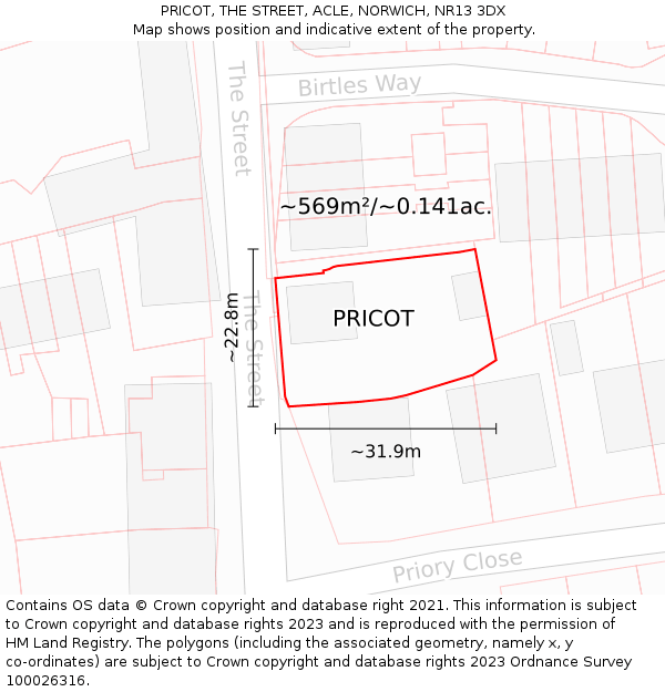 PRICOT, THE STREET, ACLE, NORWICH, NR13 3DX: Plot and title map