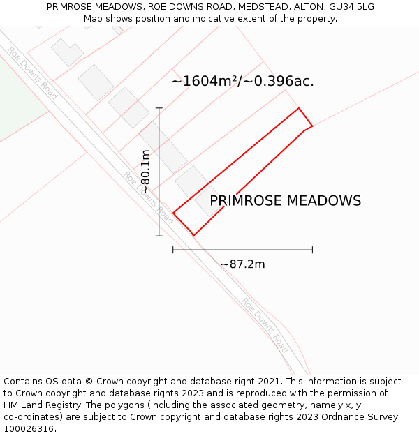 PRIMROSE MEADOWS, ROE DOWNS ROAD, MEDSTEAD, ALTON, GU34 5LG: Plot and title map