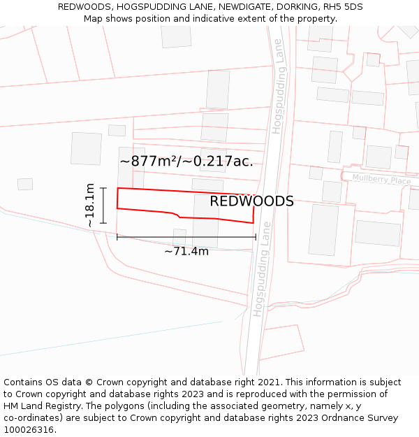 REDWOODS, HOGSPUDDING LANE, NEWDIGATE, DORKING, RH5 5DS: Plot and title map