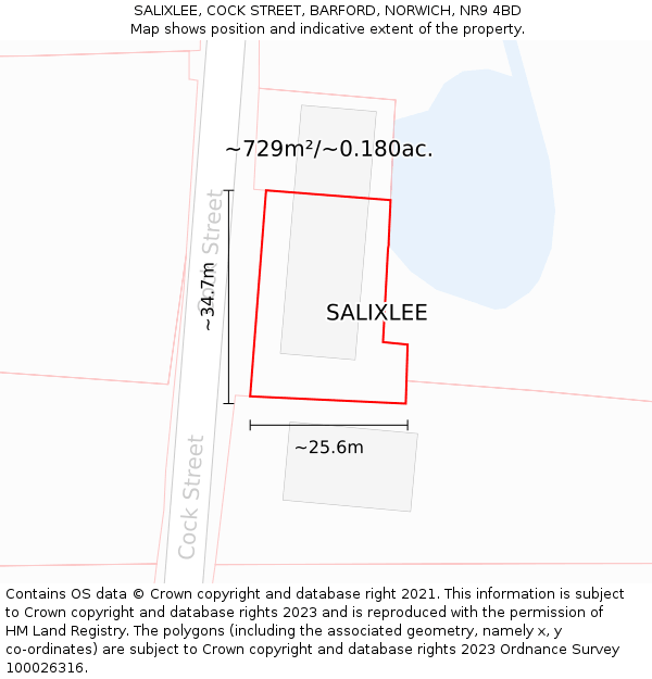 SALIXLEE, COCK STREET, BARFORD, NORWICH, NR9 4BD: Plot and title map