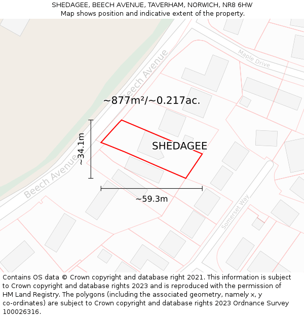 SHEDAGEE, BEECH AVENUE, TAVERHAM, NORWICH, NR8 6HW: Plot and title map