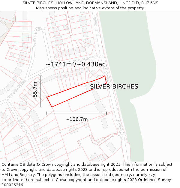 SILVER BIRCHES, HOLLOW LANE, DORMANSLAND, LINGFIELD, RH7 6NS: Plot and title map