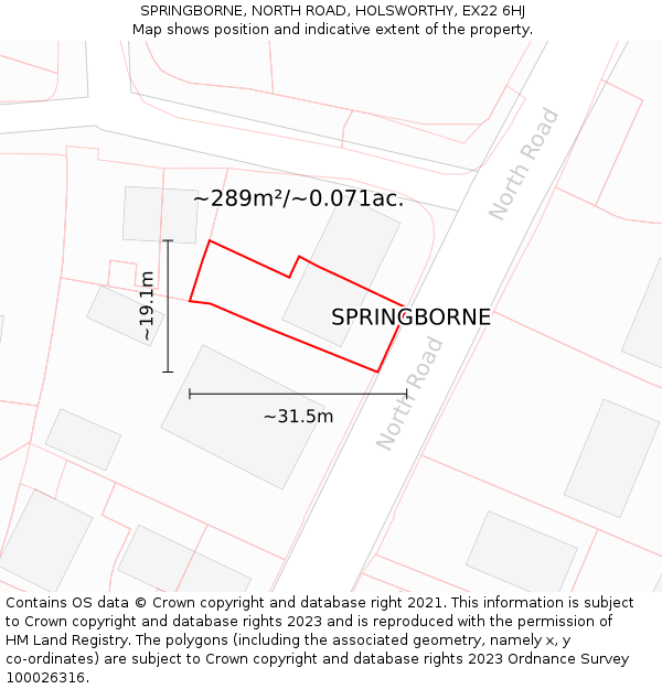 SPRINGBORNE, NORTH ROAD, HOLSWORTHY, EX22 6HJ: Plot and title map