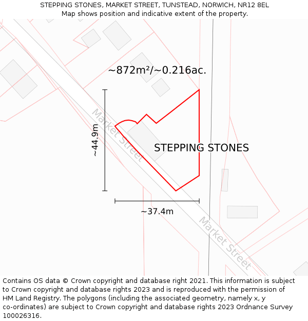 STEPPING STONES, MARKET STREET, TUNSTEAD, NORWICH, NR12 8EL: Plot and title map