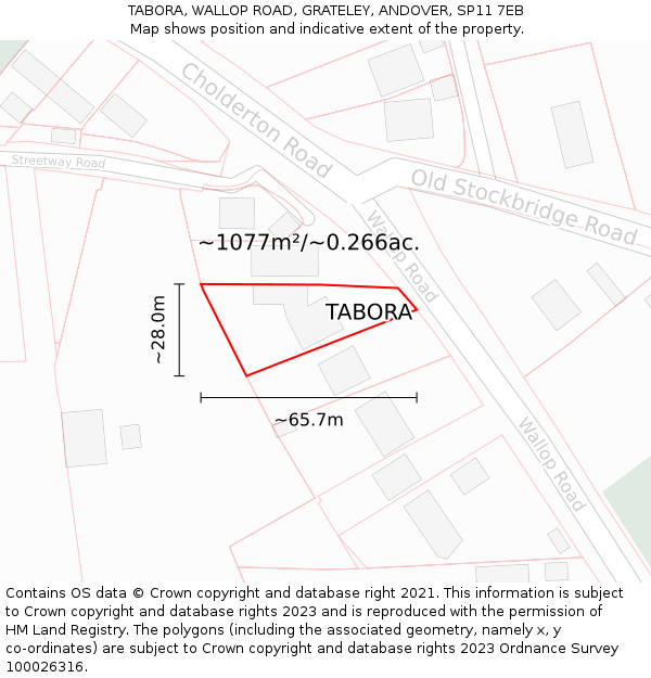 TABORA, WALLOP ROAD, GRATELEY, ANDOVER, SP11 7EB: Plot and title map