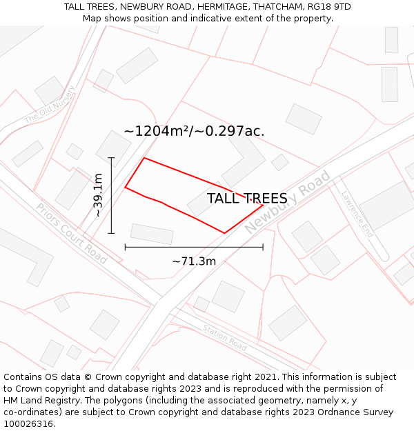 TALL TREES, NEWBURY ROAD, HERMITAGE, THATCHAM, RG18 9TD: Plot and title map