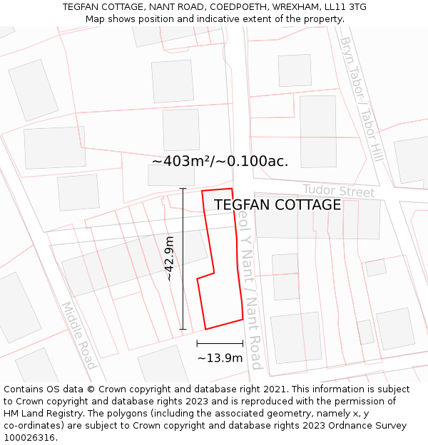TEGFAN COTTAGE, NANT ROAD, COEDPOETH, WREXHAM, LL11 3TG: Plot and title map