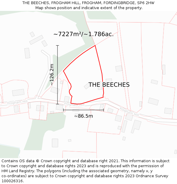 THE BEECHES, FROGHAM HILL, FROGHAM, FORDINGBRIDGE, SP6 2HW: Plot and title map