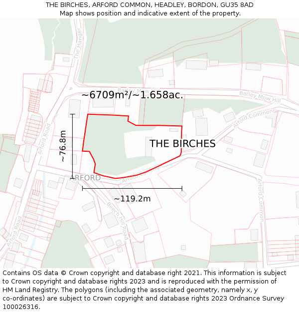 THE BIRCHES, ARFORD COMMON, HEADLEY, BORDON, GU35 8AD: Plot and title map