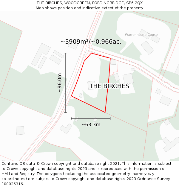 THE BIRCHES, WOODGREEN, FORDINGBRIDGE, SP6 2QX: Plot and title map